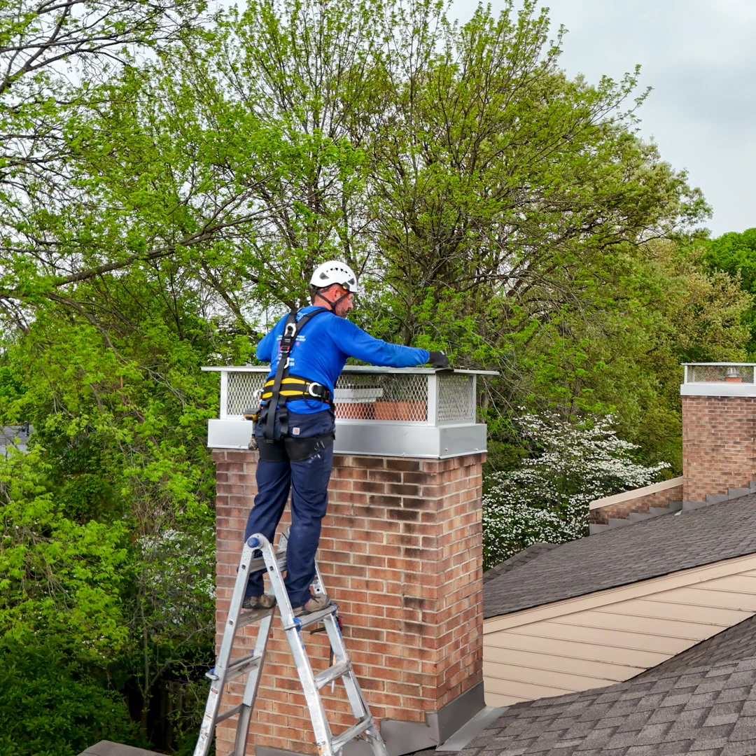 Chimney Cap in chicago illinois - Gutter Santiago